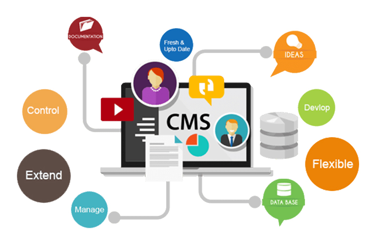 CMS Development