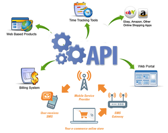 SMS API Integration